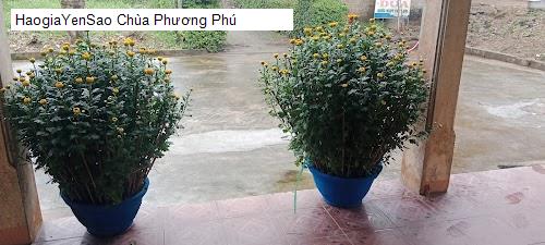 Danh Sách 6 Chùa, địa chỉ tâm linh tại Huyện Phong Điền Tỉnh Thừa Thiên Huế (Phần 4)