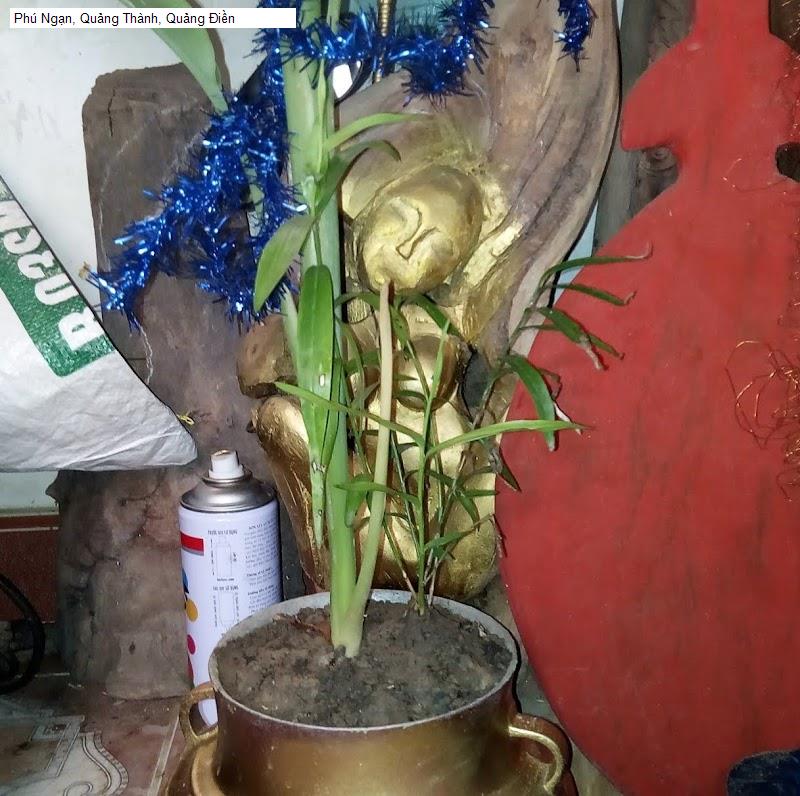 Phú Ngạn, Quảng Thành, Quảng Điền