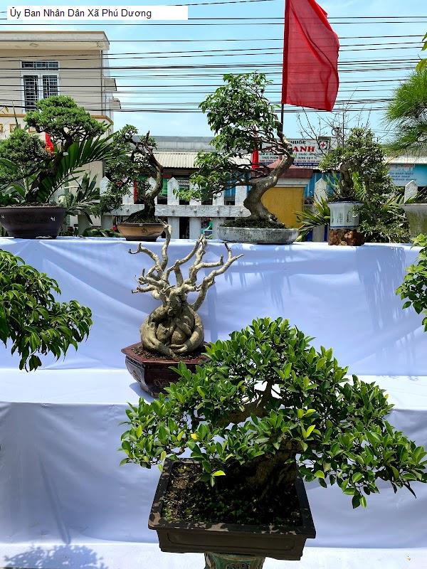 Ủy Ban Nhân Dân Xã Phú Dương