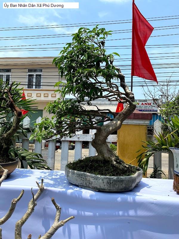 Ủy Ban Nhân Dân Xã Phú Dương