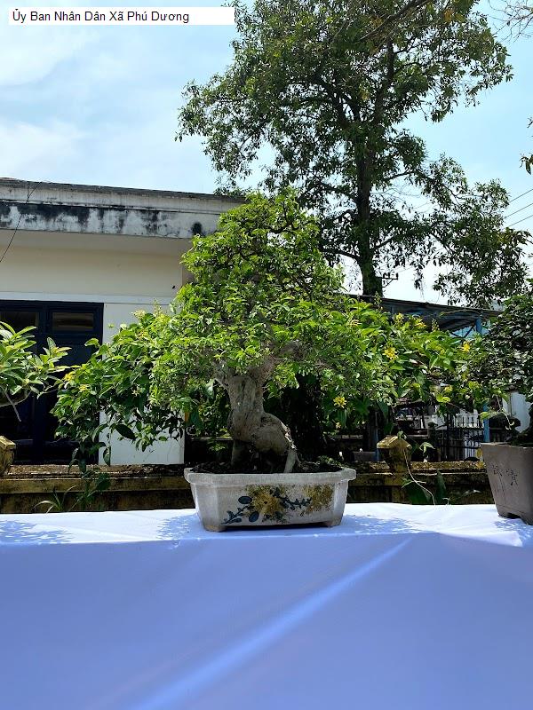 Ủy Ban Nhân Dân Xã Phú Dương