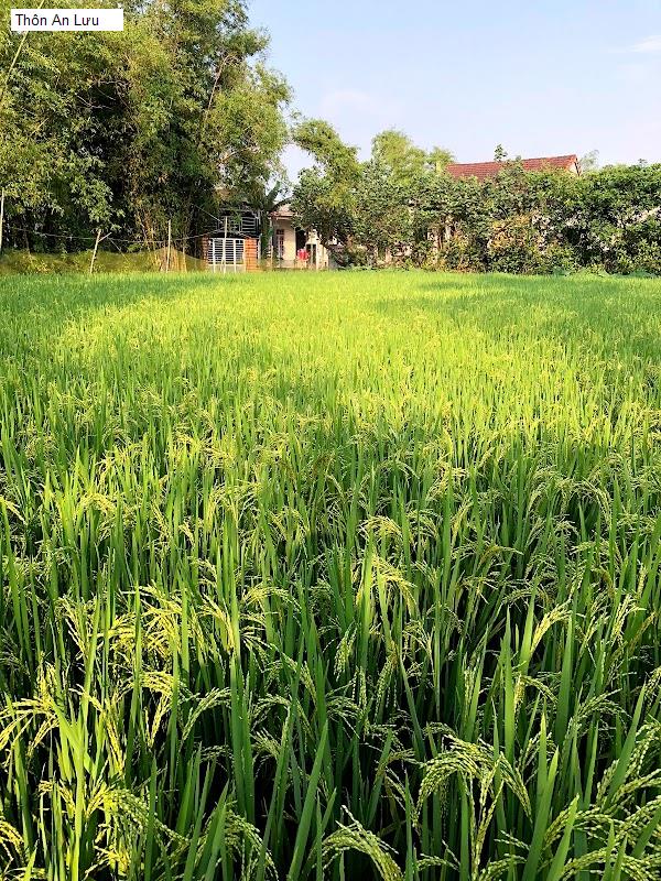 Thôn An Lưu